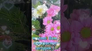 Хорошего дня!