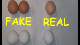 Real vs fake Eggs. How to spot organic chicken eggs from synthetic / non-organic ones