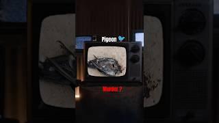 PIGEON MURDER | #ytshorts #trendingshorts #shorts #crimestory #minivlog #cid #casesolved #criminal?