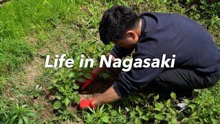 Life in an Old Japanese House in Nagasaki / Simple Cooking & Garden Weeding in a Peaceful Town
