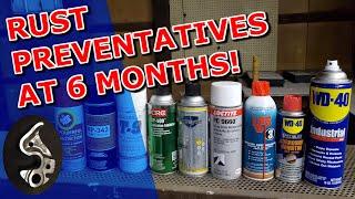 What is the Best Rust Preventative? - 6 Month Update