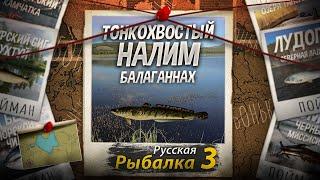 "Мутант" Тонкохвостый Налим. Балаганнах. Русская рыбалка 3.