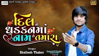 Shailesh Thakor II Dil Ni dhadkan Ma Name Se Tamara II Love song Trinding 2024 #Bansarikstudio