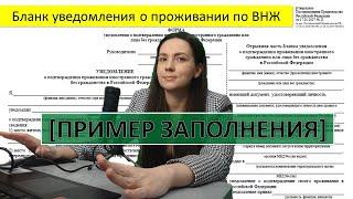 Как заполнить уведомление по внж - пример, чистый бланк