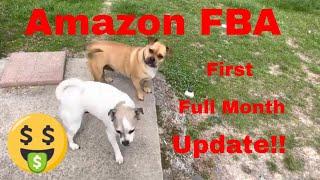 First full month results selling on Amazon FBA