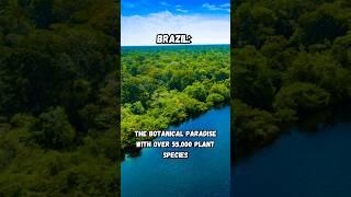 Brazil: The Botanical Paradise with Over 55,000 Plant Species