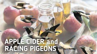 “An apple a day keeps the doctor away” - Apple Cider Vinegar and Racing Pigeons