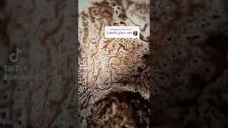 تعلم قراءة الفنجان او تعلم تبصير بالفنجان ، يوجد بالفنجان رموز وكل رمز له معنى اذا شفت مصاري او مال
