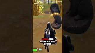 Sigma Dave Shows Best Drop Spots in Fortnite Chapter 6 Season 3 #fortnitetips