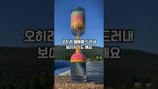 시어머니가 제 남편을 좋아하는 것 같아요
