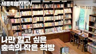 세종시 드라이브 + 힐링 여행 코스 추천 #단비책방 #숲속의작은책방 #힐링