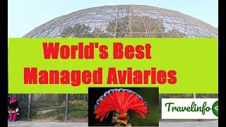 World's Best Managed Aviaries