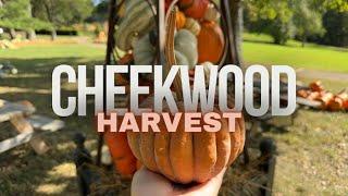 Fall Time at Cheekwood Harvest in Nashville Never Fails