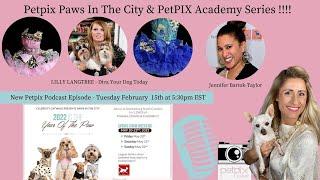 Petpix Paws In The City & PetPIX Academy Series- LILLY LANGTREE - Diva Your Dog Today - Pet Fashion