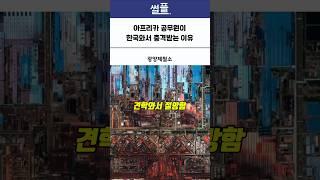 아프리카 공무원이 한국와서 충격받는 이유