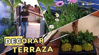 Plantas para la terraza: Descubre nuestra propuesta // Jardinatis