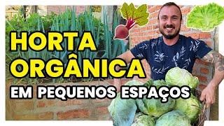 HORTA ORGÂNICA | Como cultivar hortaliças em pequenos espaços