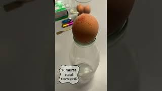Yumurtayı Şişeye Nasıl Sokarsın