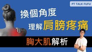 【肩膀卡卡的很困擾? 】換個角度思考 胸大肌解析