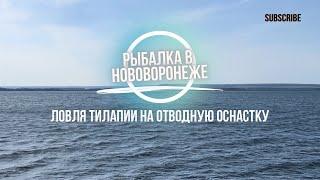 Рыбалка в Нововоронеже | Norstream Ultra и отводной поводок | Ловля Тиляпии на силикон