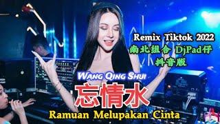 南北组合 - 忘情水 Wang Qing Shui【Ramuan Melupakan Cinta】DjPad仔 抖音版 Remix Tiktok 2022 - Translated Indonesia