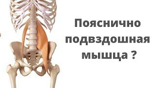 Расслабление пояснично-подвздошной мышцы. Малиновская