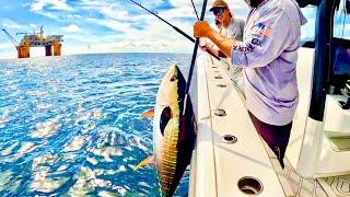 Yellowfin Tuna 100 Miles Offshore! Catch Clean Cook! Freeman Owner's Tournament!