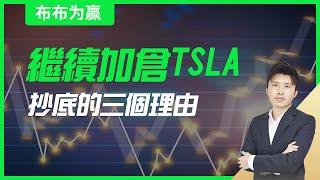 【布布为赢】继续加仓TSLA，抄底的三个理由