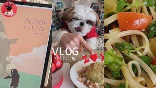 [Knitting and reading vlog-37] Knitting daily life/Book review/Santa’s birthday