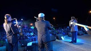 DON CARLOS & Dub Vision "Johnnie Big Mouth" Live @ OSTRÓDA REGGAE FESTIVAL 2013 / Poland