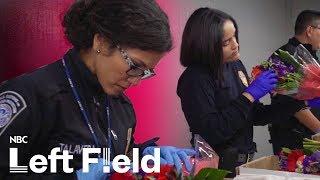 Colombia's Cash Crop:  Flowers for Valentine's Day | NBC Left Field