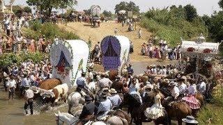 La Romería del Rocío, camino a la Aldea. Almonte. Huelva