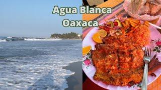 Agua Blanca Oaxaca ️ Conoce esta hermosa playa virgen