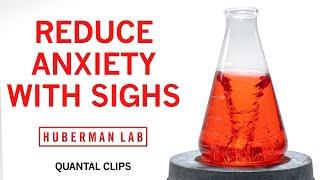 Reduce Anxiety & Stress with the Physiological Sigh | Huberman Lab Quantal Clip