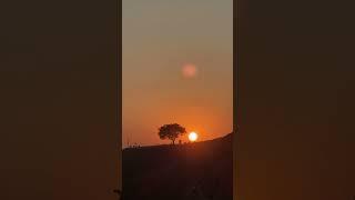 One Hill Tree  sunsets Syangja Waling Nepal