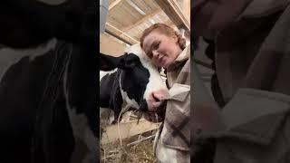 КТО НА САМОМ ДЕЛЕ РАБОТАЕТ НА НАШЕЙ ФЕРМЕ | Нелегкий труд | Будни в деревне