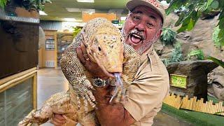 Giant Monitor Lizard MUKBANG! ️ Fabio Eats BIG!