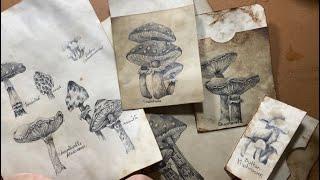 How to draw mushrooms and toadstools- quickie sketch