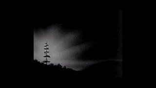 From My Bough - Adam Wright