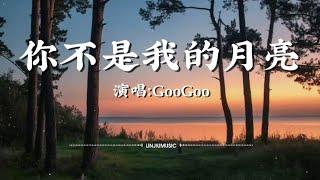 GooGoo-你不是我的月亮〖我知道那不是我的月亮，但月光曾照在了我身上〗【动态歌词】