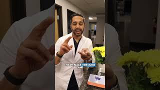Are your allergies worse because of male trees? Let’s break it down 