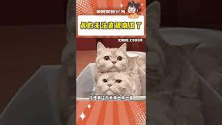 不是這也太缺德了吧#萬萬沒想到 #南瓜 #令人震驚