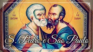 Sermão: "Evitemos todo o espírito de seita!" | Festa de São Pedro e São Paulo