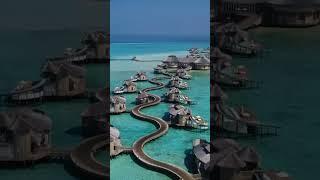 Luxury Maldives #shorts #viralvideo #reels