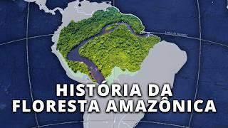 Como se Formou a Maior Floresta Tropical do Mundo? | Globalizando Conhecimento