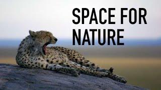 Space for Nature