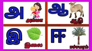 உயிர் எழுத்துக்கள்️ learn for Tamil alphabet / uyir yeluthukkal #aaaeeee #tamilalphabets #அஆஇஈ