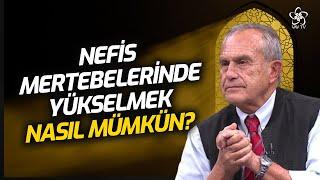 Nefs-i Emmarede Kalmak, İnsanın Tüm Hayatına Nasıl Yansır? | Mustafa Merter Vav TV