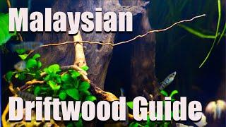 Is Malaysian Driftwood A Good Choice For Your Aquarium?