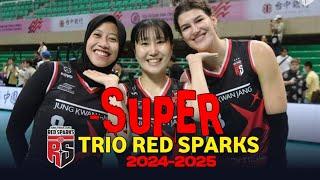 Megawati hangestri • Yeum hey seon • Vanja Bukilic • Trio Red sparks 24/25